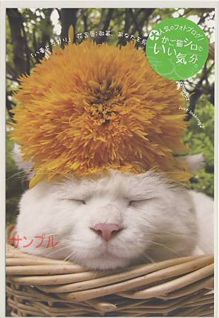 かご猫シロ・ポストカード「八重ひまわり」