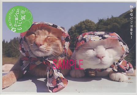 かご猫シロ・ポストカード「ずきん２匹」