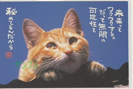 猫・ポストカード「未来ってワクワクする。」