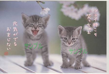 猫・ポストカード「ツライ時こそ」