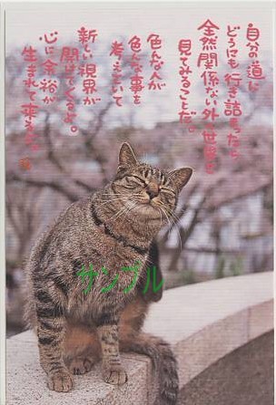 猫・ポストカード「自分の道に」