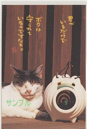 猫・ポストカード「君がいるだけで」