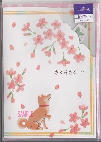 春・御祝い（立体）「桜と柴犬」