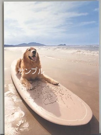 犬・ポストカード