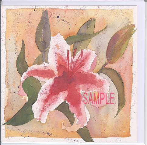 square card-多目的オニユリ