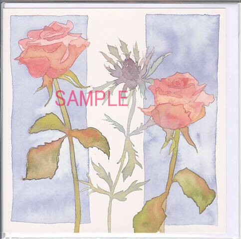 square card-多目的Pink Rosrs & Sea Holly