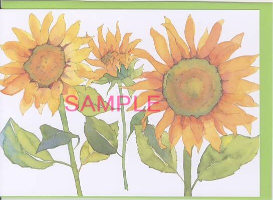 Florabunda(Sunflowers)