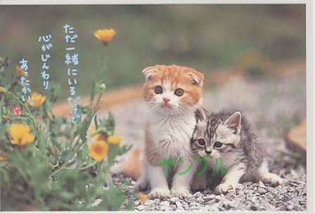 猫・ポストカード「ただ一緒にいるだけで」