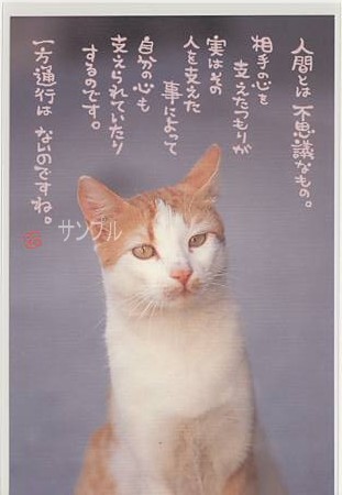 猫・ポストカード「人間とは」