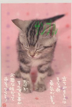 猫・ポストカード「立ち止まるのは」
