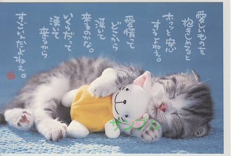 猫・ポストカード「愛しいものを」