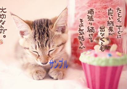 猫・ポストカード「たとえすぐに」