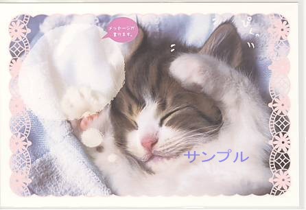 猫・ポストカード「ぴくっ」（メッセージ欄付）