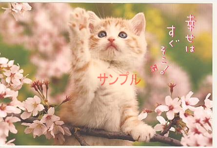猫・ポストカード「幸せはすぐそこ！」