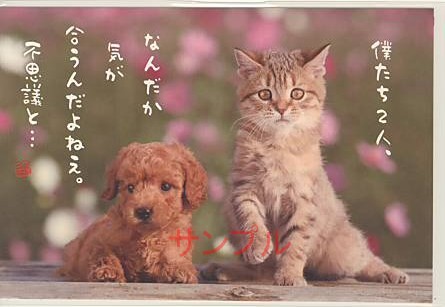 猫・ポストカード「僕たち2人、」
