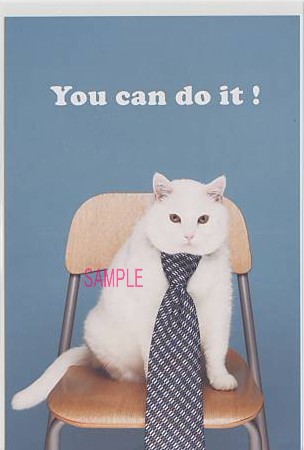 猫・ポストカード「You can do it!」