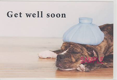 犬・ポストカード「Get well soon」