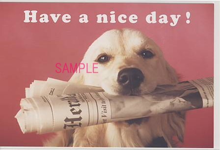 犬・ポストカード「Have a nice day!」
