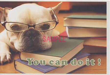 犬・ポストカード「You can do it!」