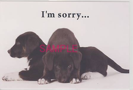 犬・ポストカード「I'm sorry...」