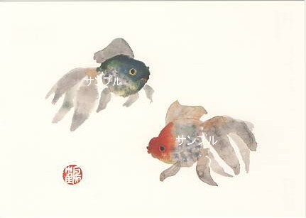 片岡鶴太郎・ポストカード「金魚」